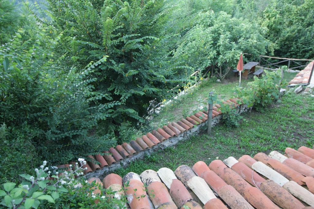 Casa Vacanze Antico Poggio Poggio San Giovanni ภายนอก รูปภาพ